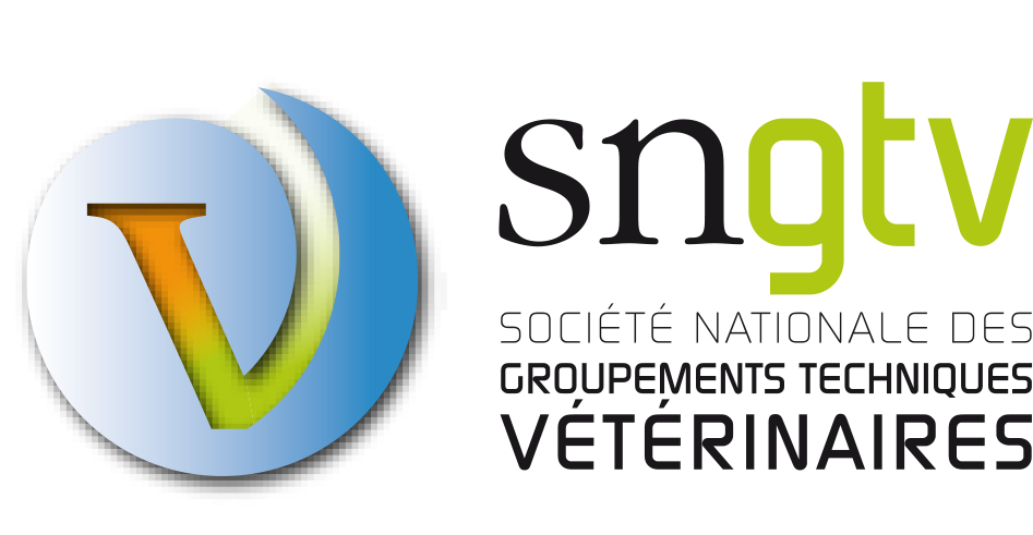 logo sngtv